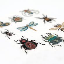 Les petits insectes - Planche Custo