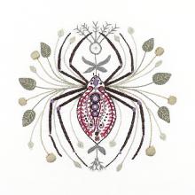 Zoé l'araignée
