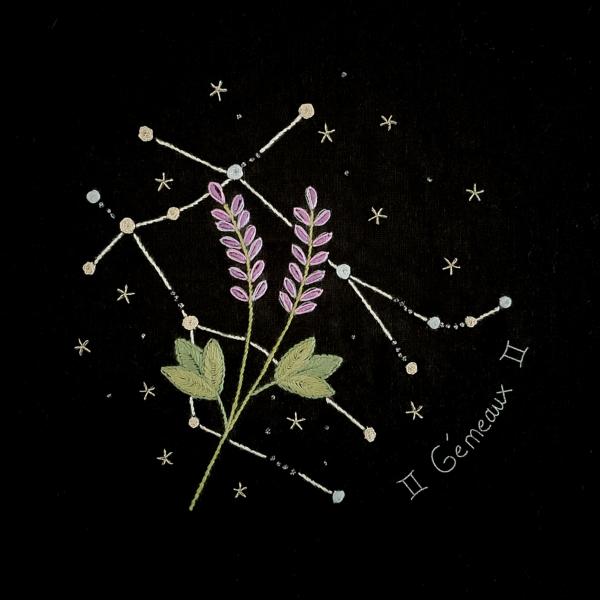 Constellation du gémeaux et sa lavande
