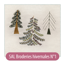 Broderies hivernales N1 (SAL)