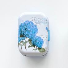 Boîte magnétique vintage pour aiguilles - Design 9