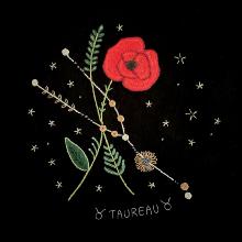 Constellation du taureau et son coquelicot - Tissu Noir