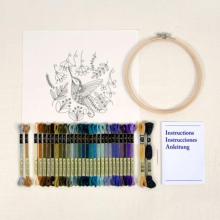 Collaboration DMC - Colibri