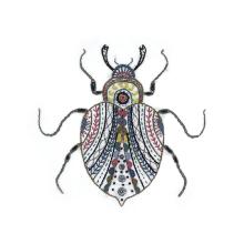 Barnabé le scarabée (vendu sans cercle)