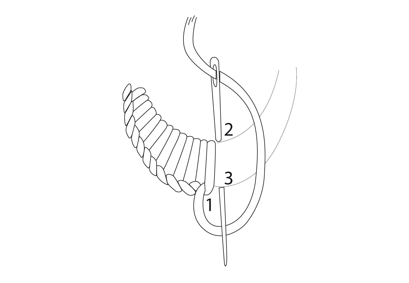 Schma point de feston en croissant